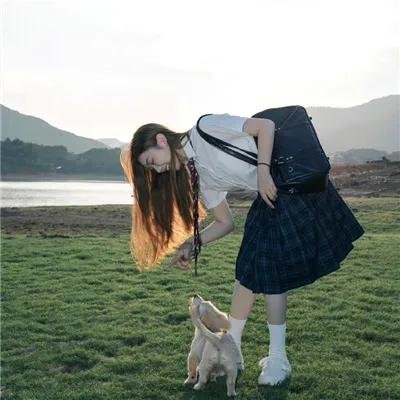 科搜研之女第23季